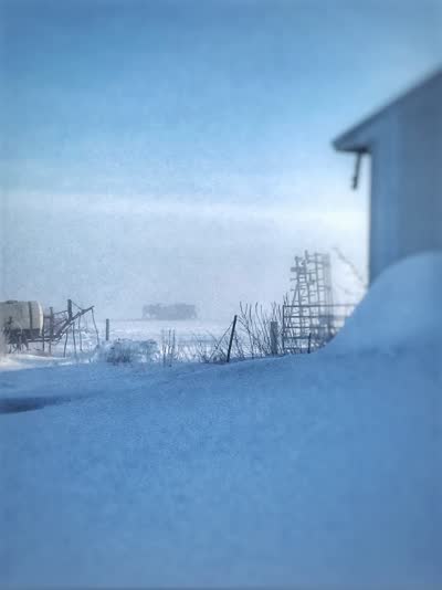 Snow drifting past the corner of a farm shed in a blizzard