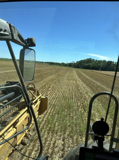 View from the combine cab over the header during small-grain harvest