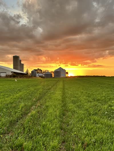 Sunset silhouette of the farmstead with grain bins